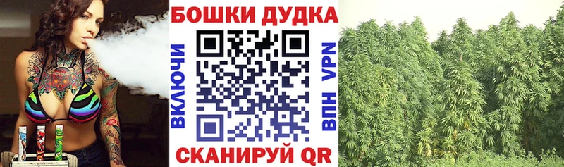 Бошки Шишки сатива  Купить  Челябинск 